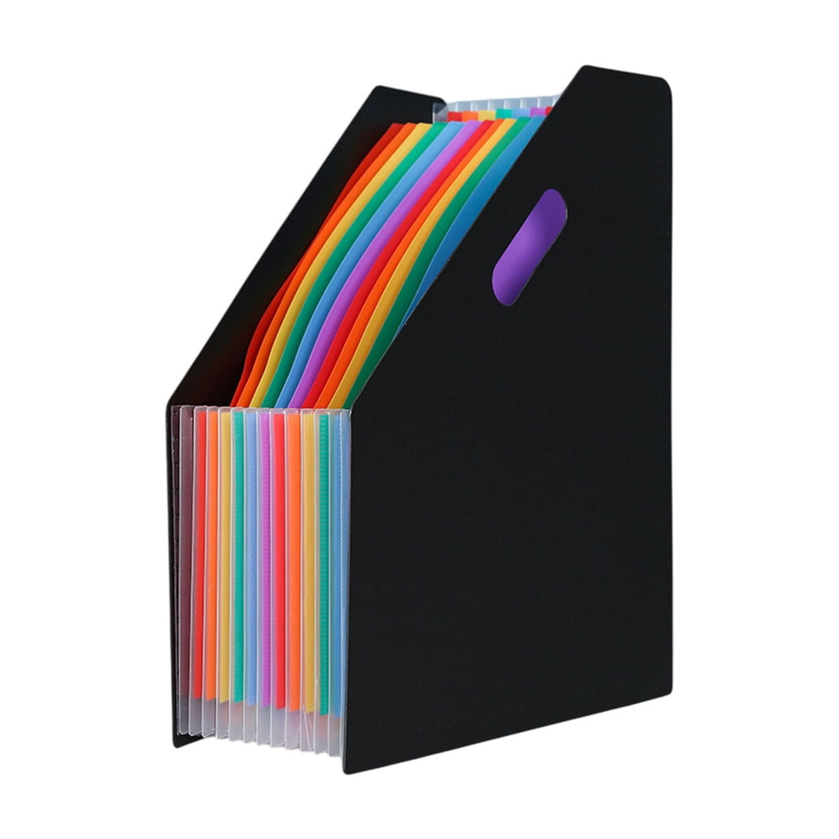 Expanding Accordion File with 13 Pockets, Black Polypropylene Desk Organizer for Letter and A4
